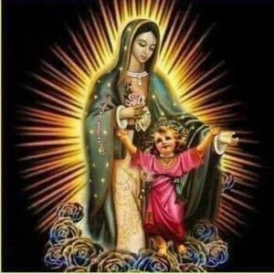 Meet your Posher, Ofelia